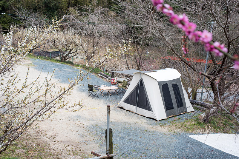 21年3月 浜松市北区鷲沢町の 鷲沢キャンプ場 に行ってみた